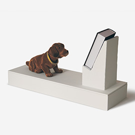 A tribute to Richard Dawkins